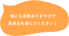 他にも多数ありますので是非足を運んでください♪